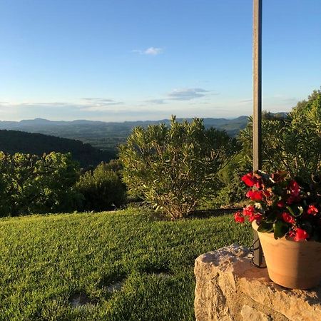 Meline Villa Seillans Dış mekan fotoğraf